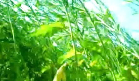 टक्कर ब्लू फिल्म दिखाई लगी है वेश्या